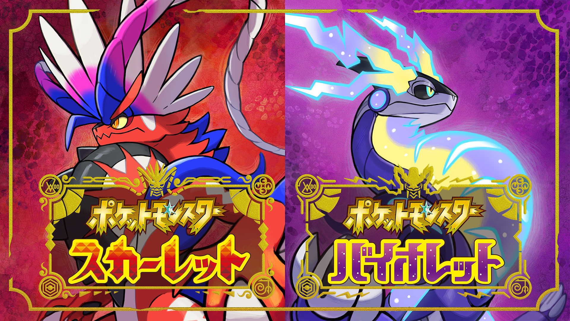 セール ポケットモンスターサン SV asakusa.sub.jp